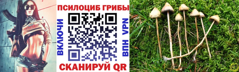 что такое   Киров  Галлюциногенные грибы мухоморы 